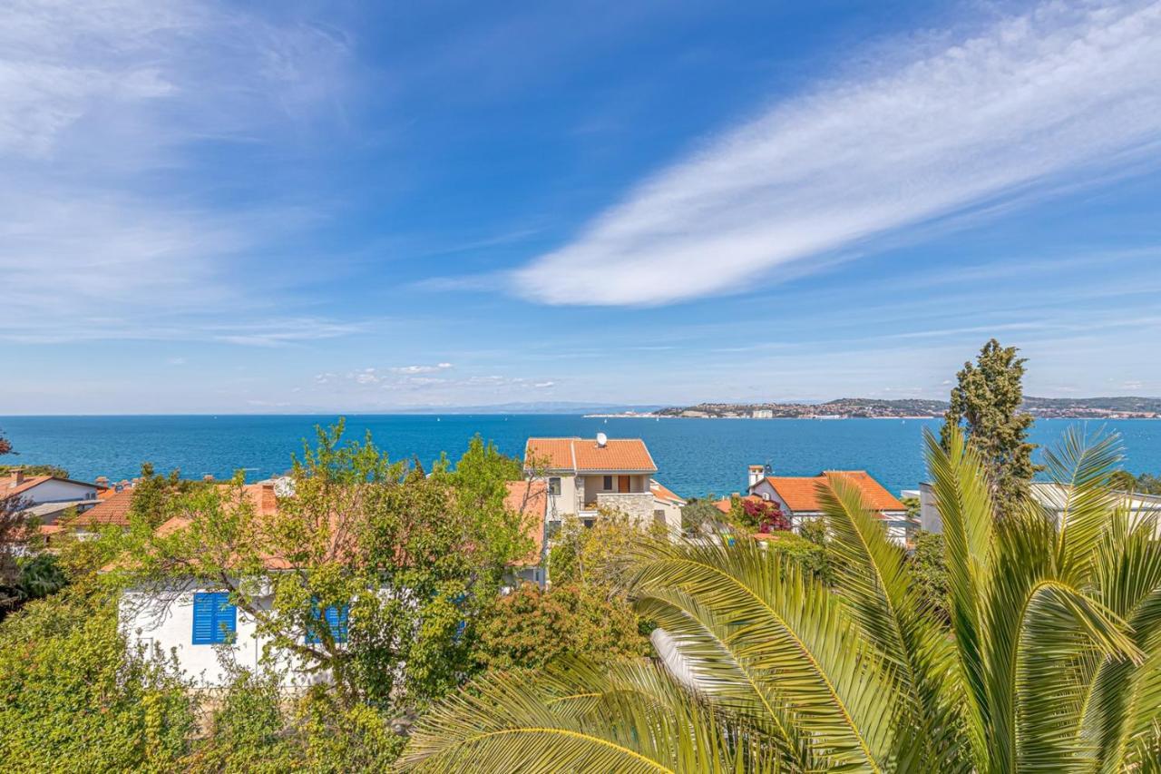 Villa Milena With Pool And Sea View Crveni Vrh Eksteriør billede